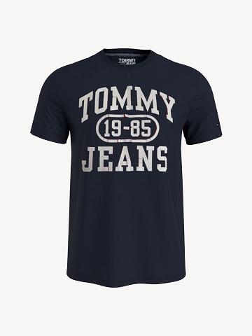 Férfi Tommy Hilfiger Torn logo Póló Sötétkék | HU 872NWY